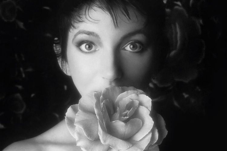 Kate Bush Musisi asal Inggris