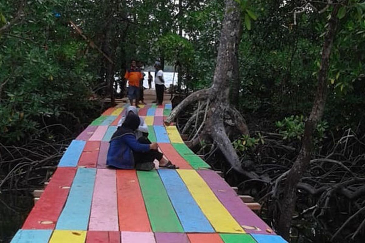 Hutan Mangrove di Desa Kecapi mulai dikenal masyarakat untuk berwisata 
