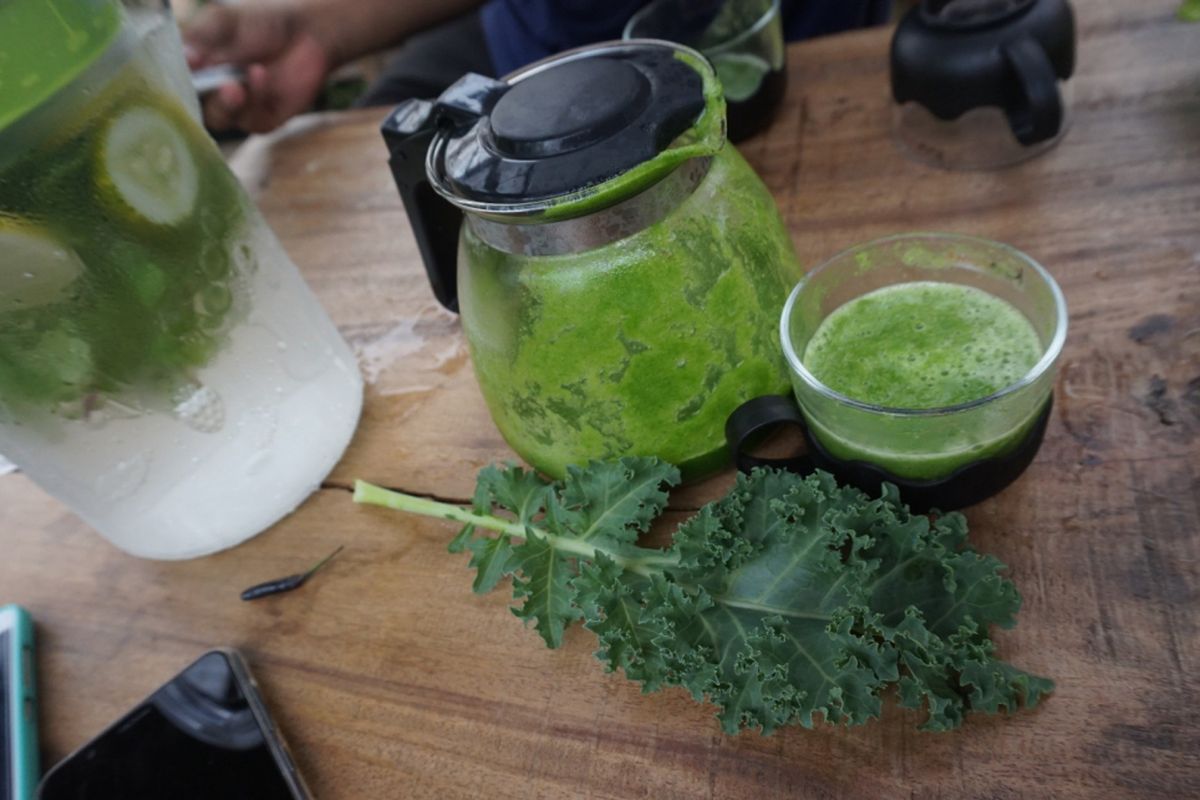 Jus sayur kale di Cahaya Hydrofarm Banyuwangi, Jawa Timur.