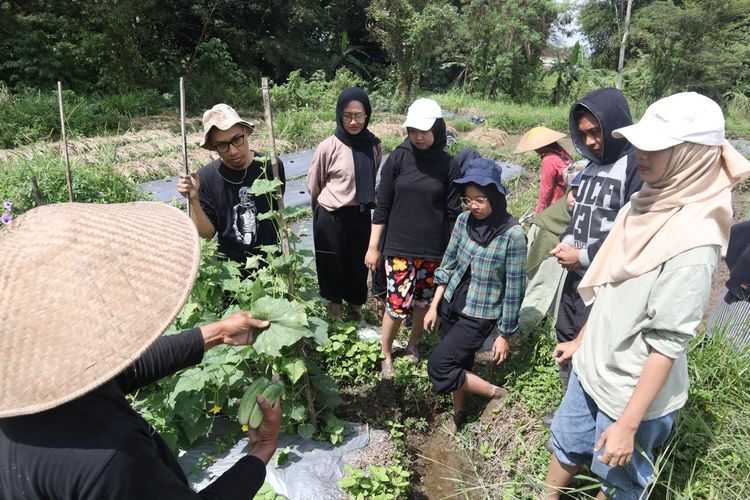 Peserta yang mengikuti kegiatan edukasi pertanian bersama Komunitas Petani Muda Jogja.