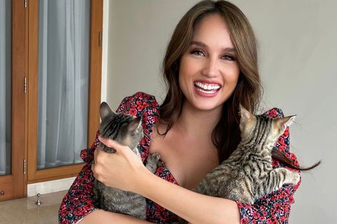 Heboh Influencer Pelihara Harimau, Aksi Cinta Laura Adopsi Kucing Kampung Kembali Disorot