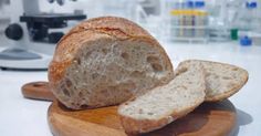 BRIN Bikin Sourdough Beras Merah Segreng Handayani dari Gunungkidul