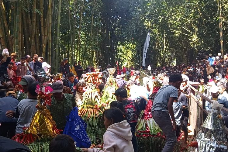 Tradisi Pendem Sirah Lembu, Cara Warga Lereng Semeru Sampaikan Syukur dan Sambut Tahun Baru Islam