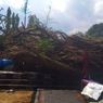 Hujan Deras Disertai Angin Kencang, Pohon Beringin di Sleman Tumbang Timpa Kora-kora dan Trampolin