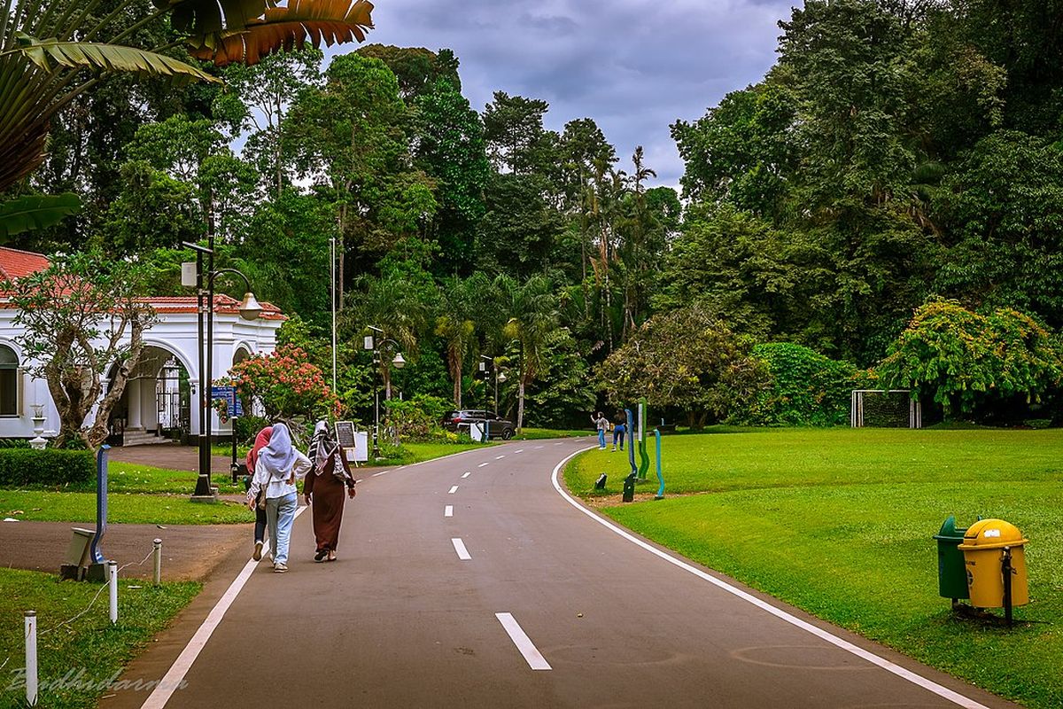 Kebun Raya Bogor.