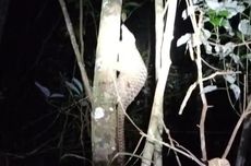 Iran Klaim Berperang dengan Negara Barat dan Israel, Sebut Diserang dari Semua Sisi