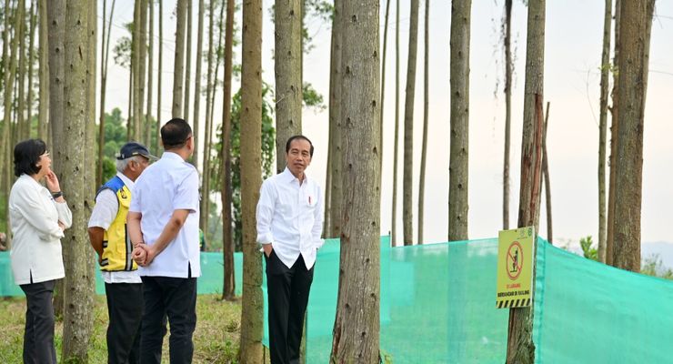 Pagi Hari di IKN, Jokowi Ajak Para Menteri Lihat Pemandangan hingga Sarapan Bersama