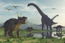 Kenapa Fosil Dinosaurus Jarang Ditemukan?