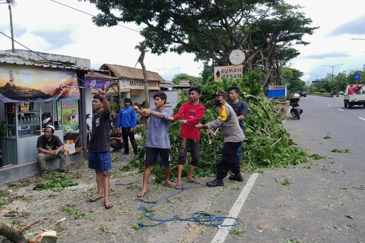 Proses gotong royong penebangan pohon di jalan Bypass BIL 1