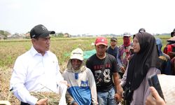 Respons Keluhan Buruh Tani Karawang, Mentan Amran Kirim Bantuan Alsintan