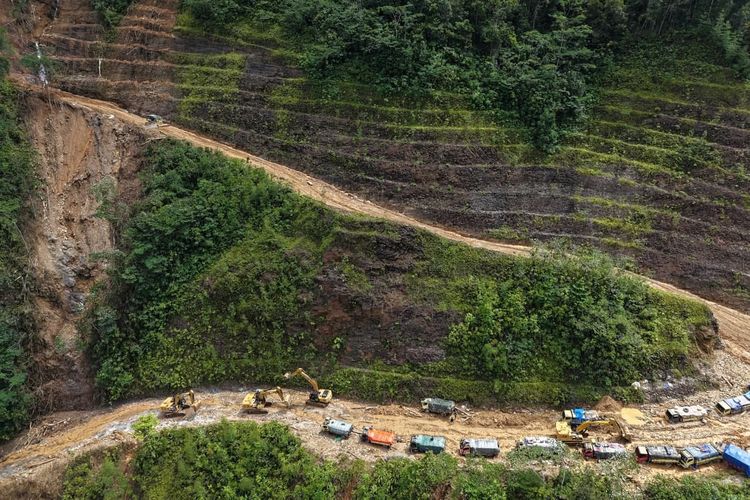 Jaga Hutan Terakhir, Gubernur Se-Papua Kolaborasi Pembangunan Berkelanjutan
