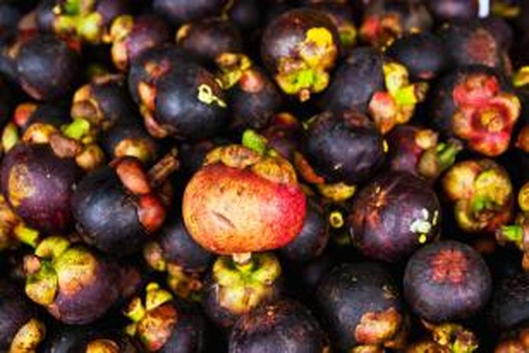  Gambar  Buah  Manggis  Untuk Diwarnai Gambar  Buah  Buahan