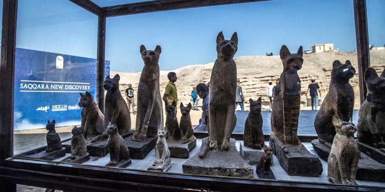 Statues of cats are displayed after the announcement of a new discovery carried out by an Egyptian archaeological team in Gizas Saqqara necropolis, south of the capital Cairo, on November 23, 2019. - Egypt today unveiled a cache of 75 wooden and bronze statues and five lion cub mummies decorated with hieroglyphics at the Saqqara necropolis near the Giza pyramids in Cairo.
Mummified cats, cobras, crocodiles and scarabs were also unearthed among the well-preserved mummies and other objects discovered recently. (Photo by Khaled DESOUKI / AFP)