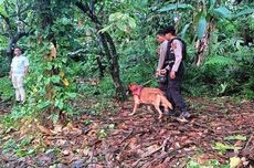 Buru Pembunuh Penjual Gorengan, Polisi Blusukan di Hutan Siang-Malam