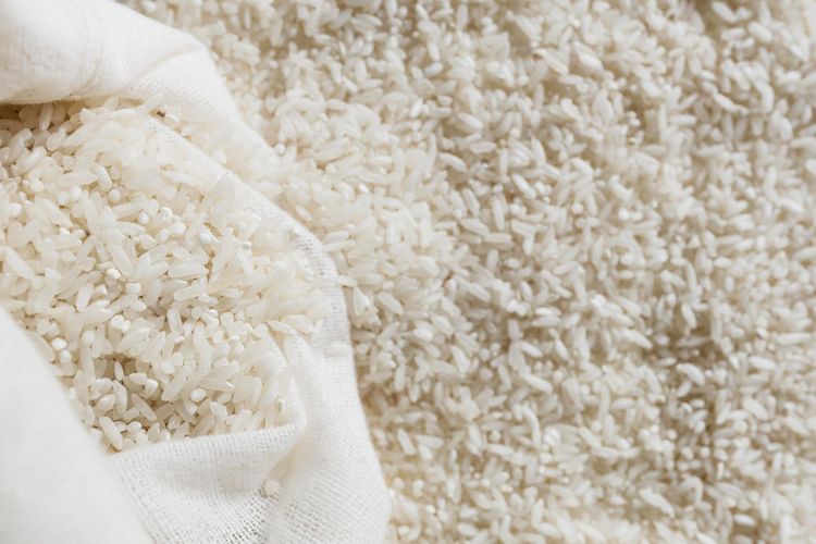 ilustrasi beras