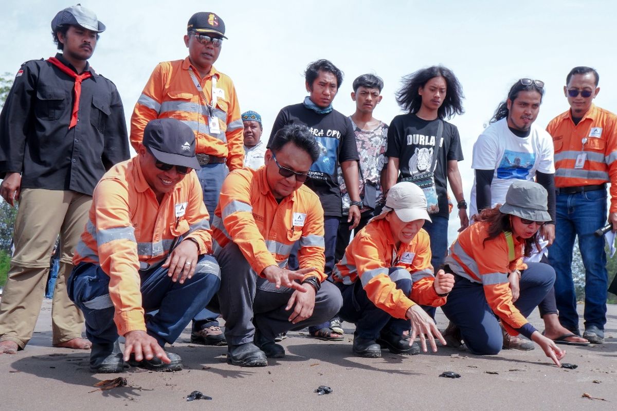 Deputy General Manager Operations PT Agincourt Resources, Wira Dharma Putra, bersama jajaran manajemen melepas tukik di Pantai Barat Muara Opu, Tapanuli Selatan, Minggu (7/1/2024). Aksi ini menandai komitmen PTAR untuk mewujudkan konservasi penyu yang optimal.