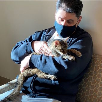 Foto ini disediakan oleh Departemen Perawatan dan Pengendalian Hewan Los Angeles County menunjukkan Brandy, seekor kucing kucing coklat, yang dipertemukan kembali pada Senin, 22 Februari 2021, dengan pemiliknya, Charles.