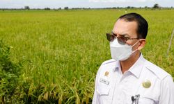 Kejar Produktivitas, Kementan Upayakan Distribusi Pupuk Bersubsidi Tepat Sasaran