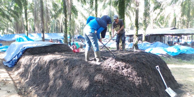 Limbah sawit dan kotoran sapi olahan Kelompok Tani Mekar Jaya di Desa Dataran Kempas, Jambi, dalam tahap fermentasi, Kamis (3/5/2018).