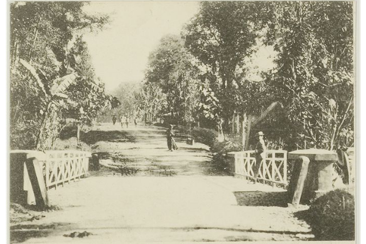 Foto jalan dari Malang ke Batu yang diambil antara tahun 1901-1902