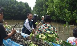 Gandeng SPE UI, Pertamina Internasional EP Tanam Mangrove di Pesisir Pantai Bekasi