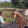 gambar kolam renang taman safari prigen