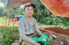 Diresmikan Wapres Gibran, Ladang Jagung di Tangerang Kini Terbengkalai dan Dipenuhi Rumput Liar