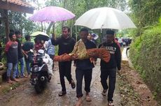 Korsel Hari Ini Sunyi Sepi, Pesawat Dilarang Terbang, Ada Apa?