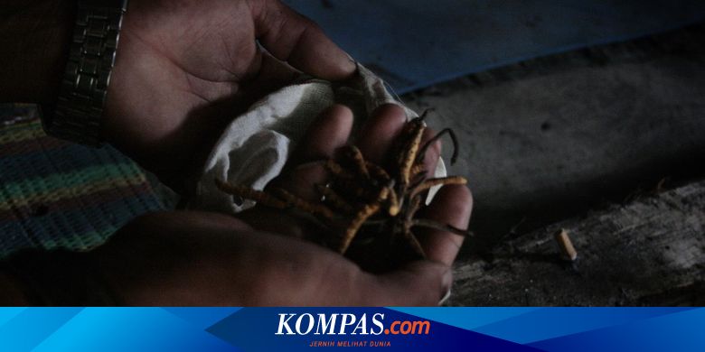 Yangi Viagra guruhining yalangoch fotosuratlari