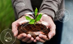 Estonia Tawarkan Kolaborasi untuk Transisi Hijau dengan Indonesia