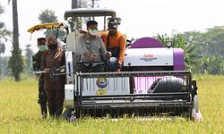 Kementan Perkirakan Produksi Beras Indonesia Surplus 6,4 Juta Ton