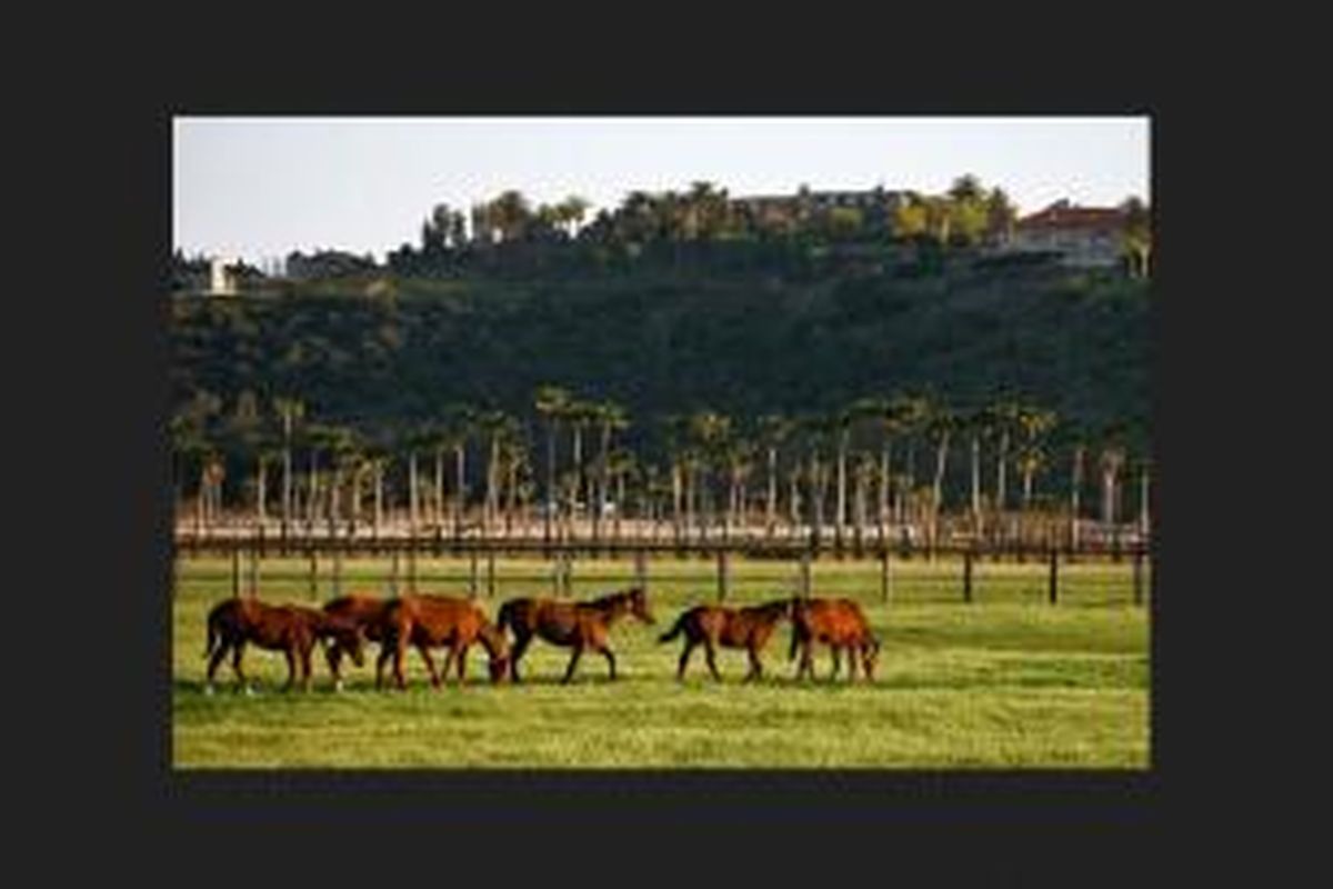 Rancho Paseana terletak sekitar 20 menit dari utara San Diego. Properti tersebut berada pada lahan seluas 228 acre atau 92 hektar yang terdiri dari pacuan kuda, wisma, kantor, kebun zaitun, lima lumbung, dan dokter hewan. 