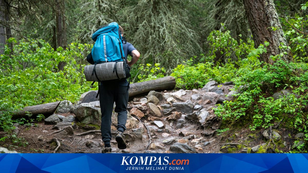 Cedera Pergelangan Kaki, Pendaki Perempuan Dievakuasi dari Puncak Tembesi Rinjani