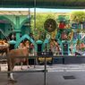 Jangan Asal Buang, Limbah Hewan Kurban Bisa Disulap Jadi Pupuk Kompos