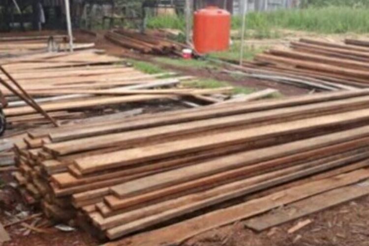 Barang bukti hasil sitaan polisi berupa kayu hasil perambahan hutan yang akan dijadikan untuk pembuatan kapal oleh tersangka