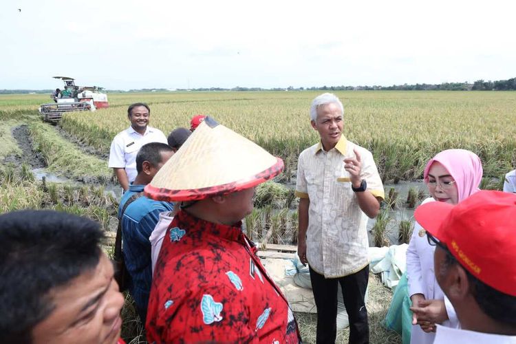 Gubernur Jawa Tengah Ganjar Pranowo meninjau panen raya dan Lumbung Pangan Masyarakat (LPM) di Desa Harjowinangun, Kecamatan Godong, Kabupaten Grobogan, Rabu (15/2/2023).
