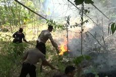 10 Hektar Lahan Kawasan Wisata Gunung Budheg Tulungagung Terbakar