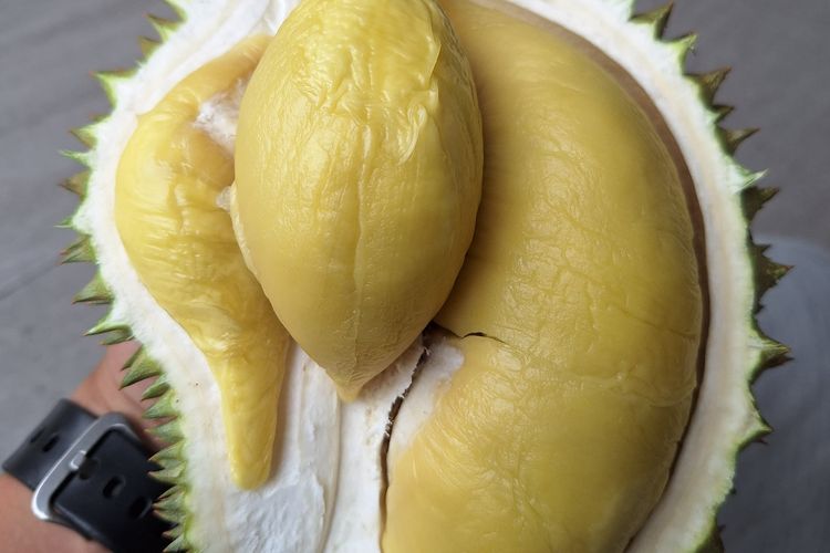 Pembukaan Akses Ekspor Durian Beku Indonesia ke China