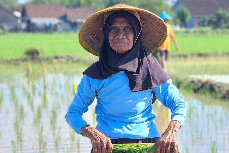 Kesetaraan Perempuan Berdasarkan Kode Pos 