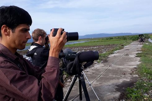 Peneliti Burung Asal Amerika Kaget Jumpai 3 Jenis Trinil di Gorontalo
