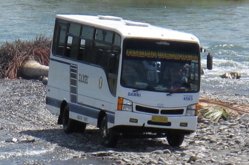 DAMRI Sediakan Bus Perintis di Nabire Papua Tengah, Tarif mulai Rp 10.000