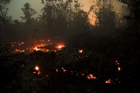 Per Senin Hari Ini, 9 Perusahaan Jadi Tersangka Kebakaran Hutan