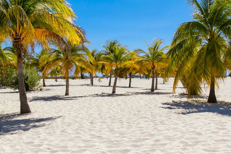 Playa Paraiso, Cayo Largo del Sur, Kuba