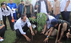 Menteri LH Apresiasi Taman Safari Indonesia: Konservasi Alam Bukan Sekadar Komitmen, tetapi Tindakan