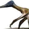 Jejak Raksasa Terbang Ditemukan, Bukti Pterosaurus Turun ke Tanah