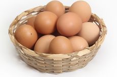Manfaat Makan Telur Bagi Penderita Diabetes