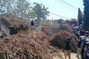 Bulog dan PT GMM Temui Petani Tebu, Bahas Penyerapan Hasil Panen