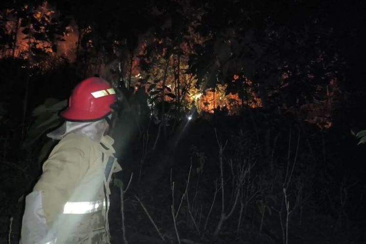 Kebakaran Lahan di Pangandaran Meluas hingga Dekati Permukiman, Damkar Kerahkan 3 Mobil