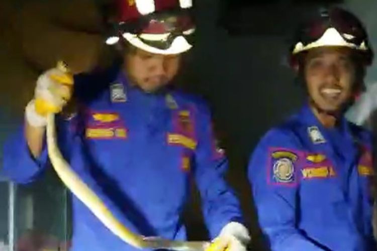 Tim petugas damkar memegang ular yang masuk ke rumah warga di Kelurahan Bunulrejo, Kecamatan Blimbing, Kota Malang. 