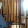 Rusak Gembok, 2 Tahanan Kabur dari Polsek Praya Barat Daya Lombok Tengah